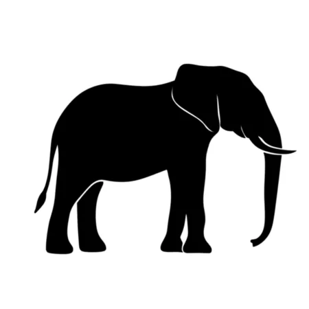 Elefante